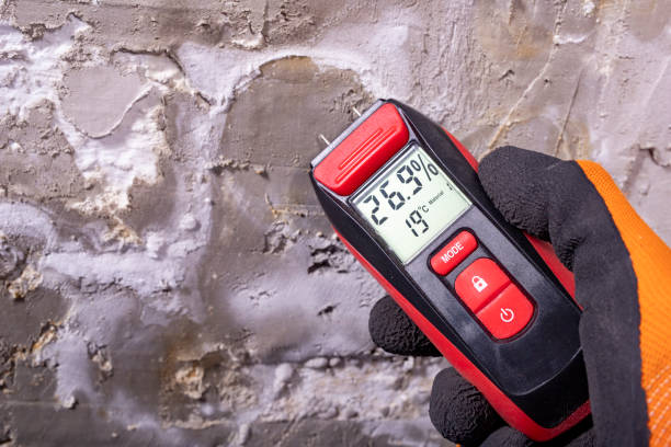Best Attic Mold Removal  in Monroeville, AL