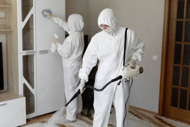 Home Mold Removal in Monroeville, AL